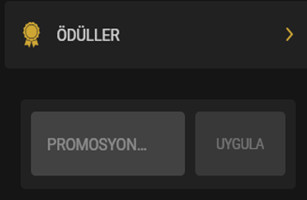 Promosyon kodu nasıl kullanılır?